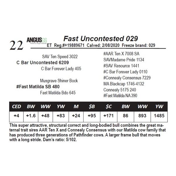 Fast Uncontested 029