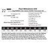 Image 1 : Fast Milestone 034