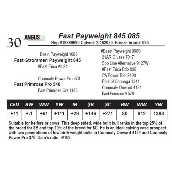 Fast Payweight 845 085