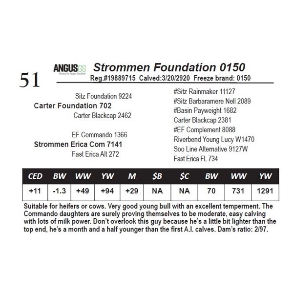 Strommen Foundation 0150