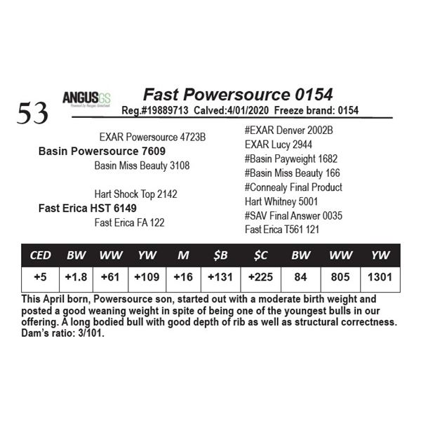 Fast Powersource 0154