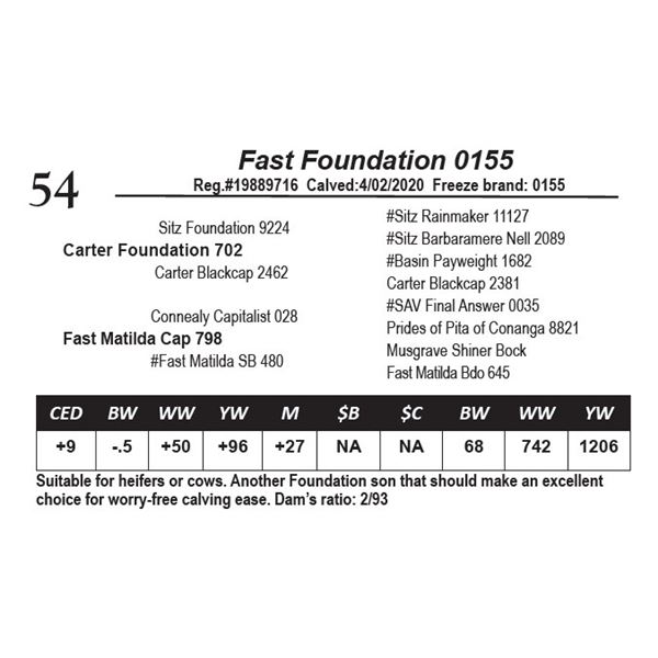 Fast Foundation 0155