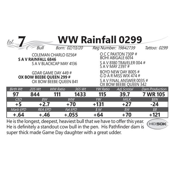 WW Rainfall 0299