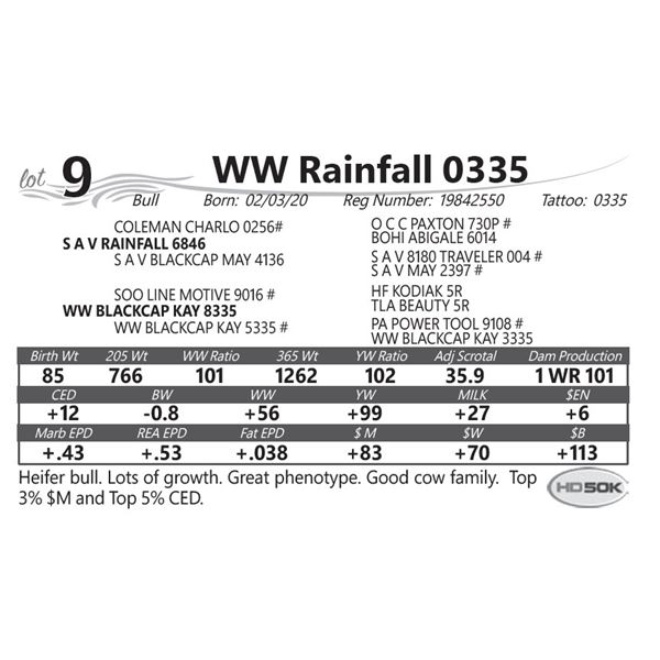 WW Rainfall 0335