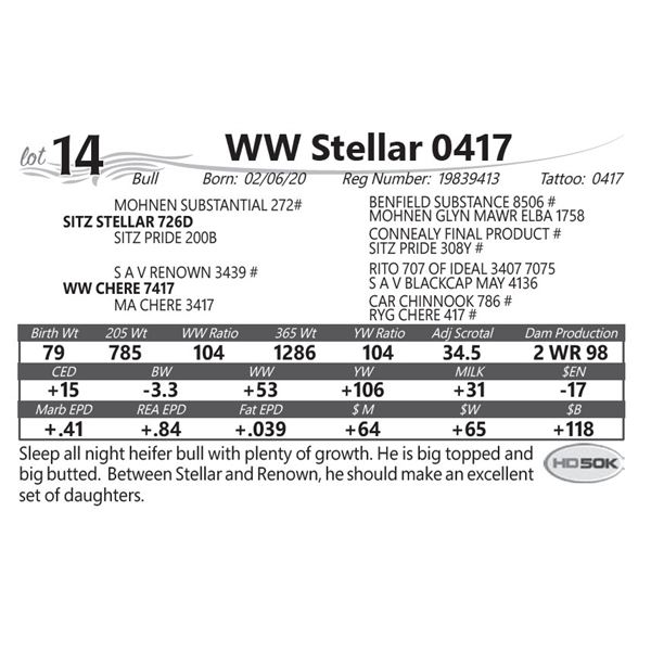 WW Stellar 0417