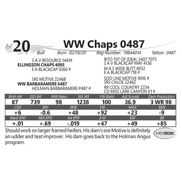 WW Chaps 0487