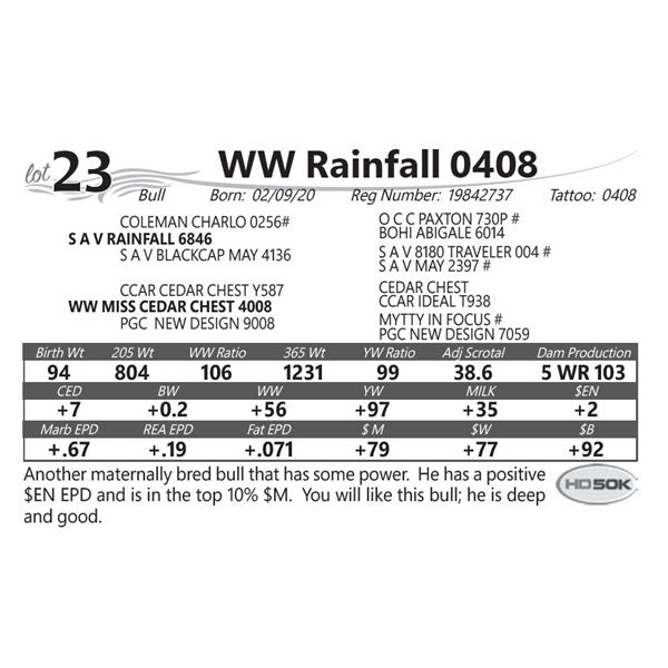 WW Rainfall 0408