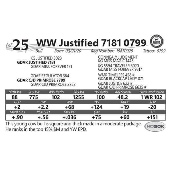 WW Justified 7181 0799