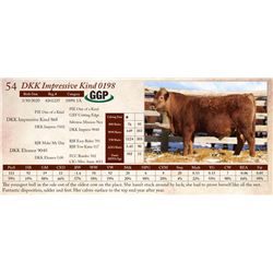 DKK Impressive Kind 0198