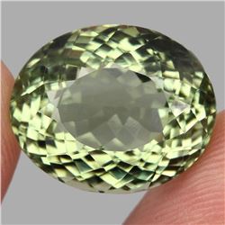 Natural  Green Brazil Amethyst 21.83 Cts - VVS