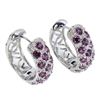 Image 1 : Natural Round Rhodolite Garnet Earrings