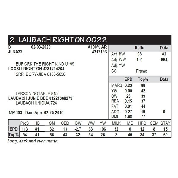 LAUBACH RIGHT ON 0022