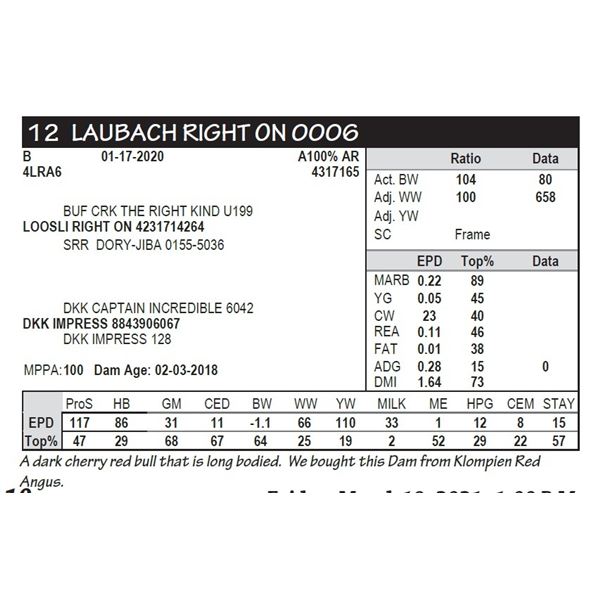 LAUBACH RIGHT ON 0006