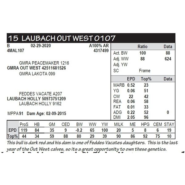 LAUBACH OUT WEST 0107