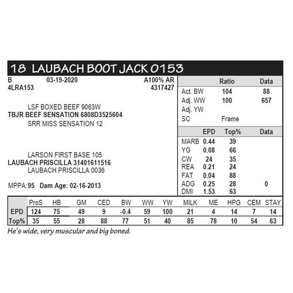 LAUBACH BOOT JACK 0153