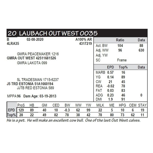 LAUBACH OUT WEST 0035