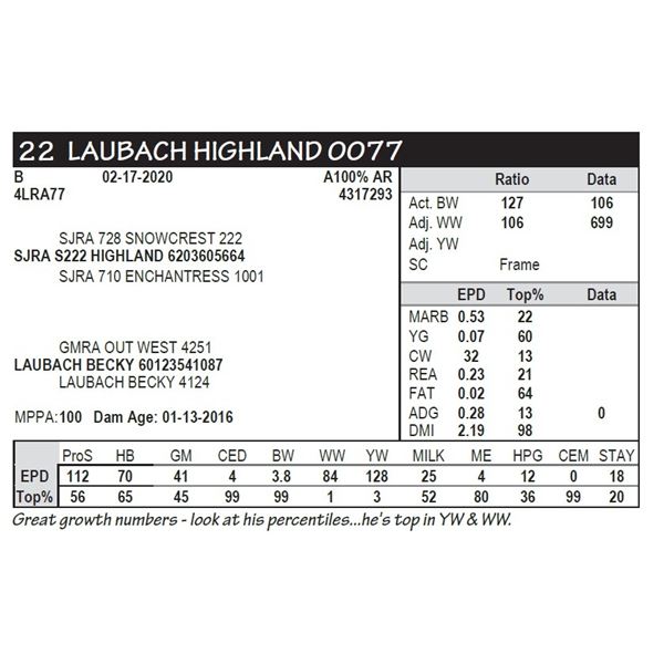 LAUBACH HIGHLAND 0077