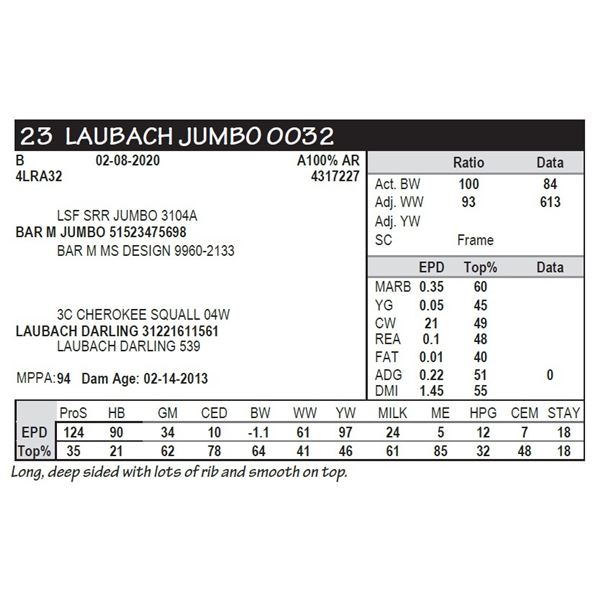 LAUBACH JUMBO 0032