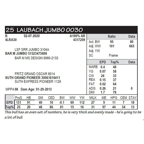 LAUBACH JUMBO 0030