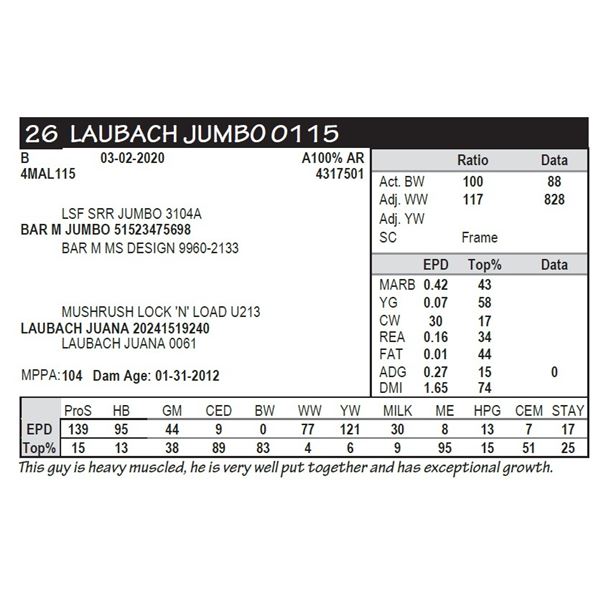 LAUBACH JUMBO 0115