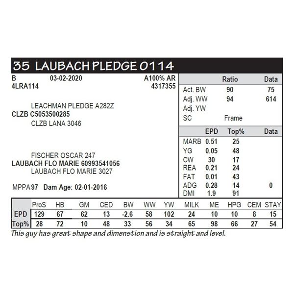 LAUBACH PLEDGE 0114