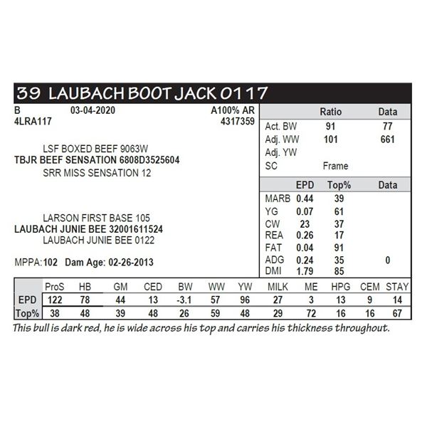 LAUBACH BOOT JACK 0117