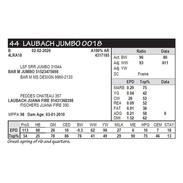 LAUBACH JUMBO 0018