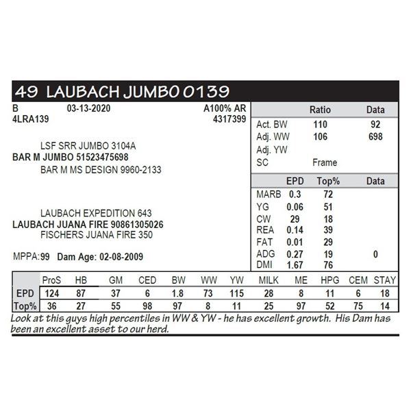 LAUBACH JUMBO 0139