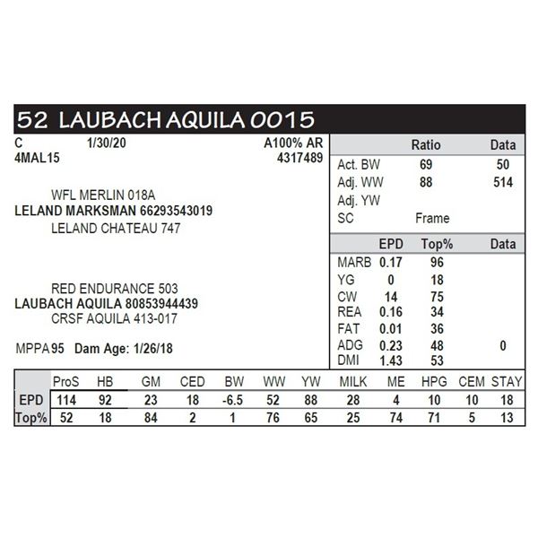 LAUBACH AQUILA 0015