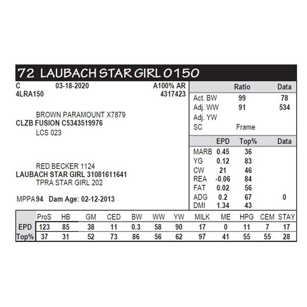 LAUBACH STAR GIRL 0150