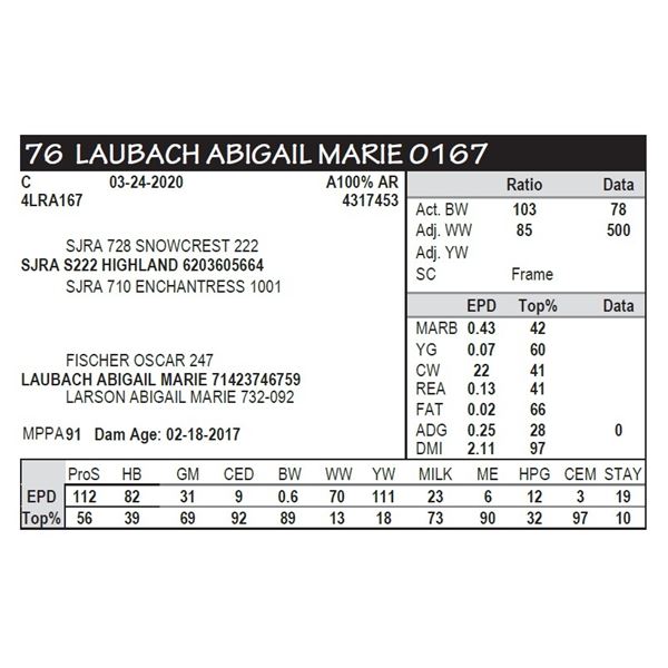 LAUBACH ABIGAIL MARIE 0167