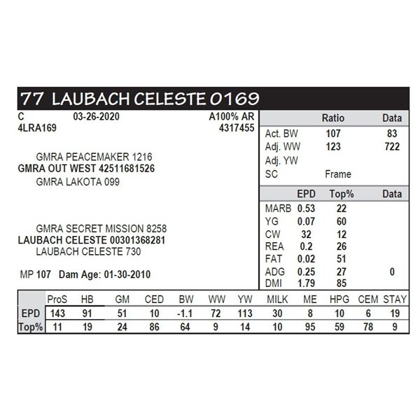 LAUBACH CELESTE 0169