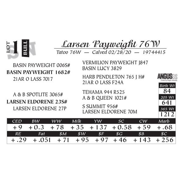 Larsen Payweight 76W