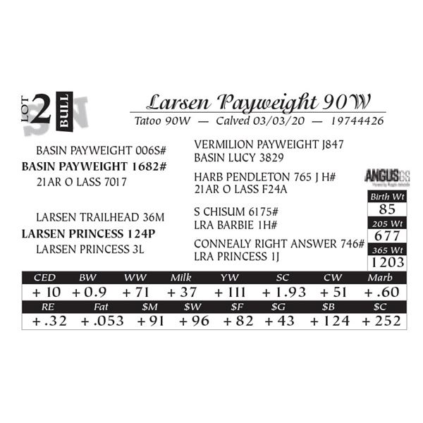 Larsen Payweight 90W