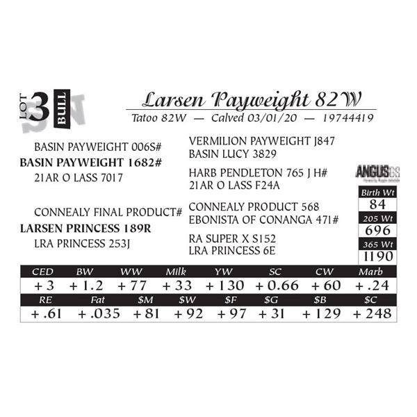 Larsen Payweight 82W