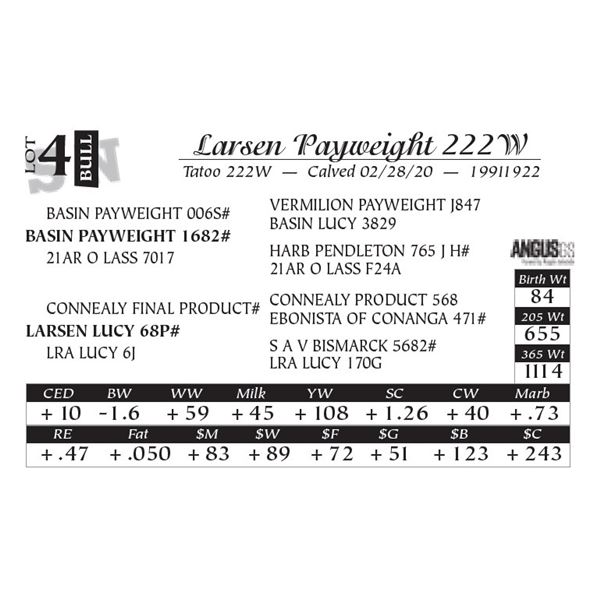 Larsen Payweight 222W
