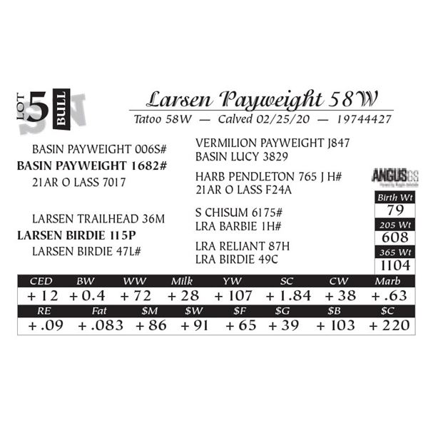 Larsen Payweight 58W
