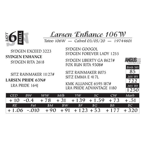 Larsen Enhance 106W