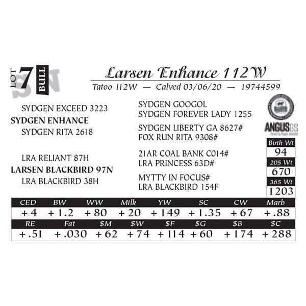 Larsen Enhance 112W