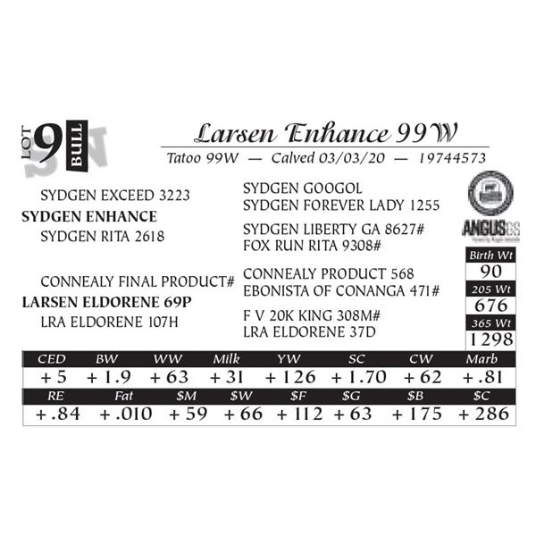 Larsen Enhance 99W