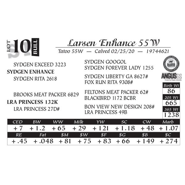 Larsen Enhance 55W