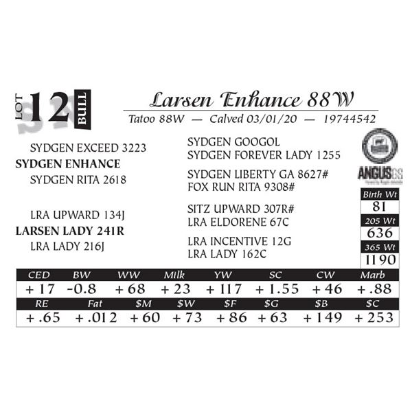 Larsen Enhance 88W