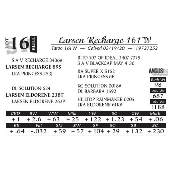 Larsen Recharge 161W