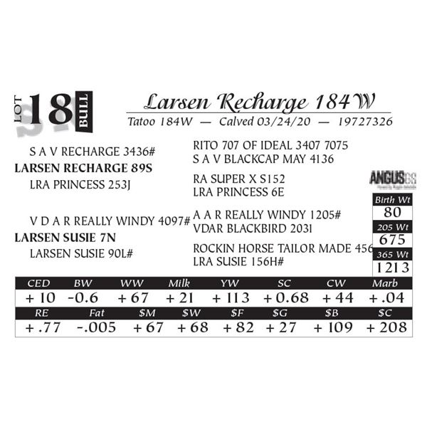Larsen Recharge 184W