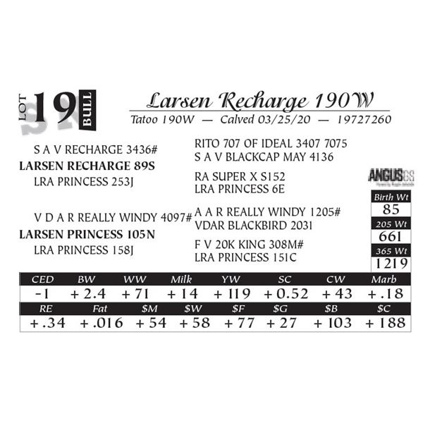 Larsen Recharge 190W