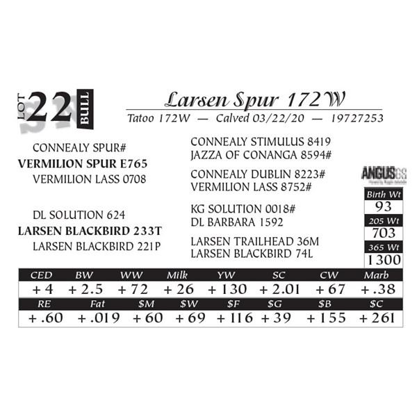 Larsen Spur 172W