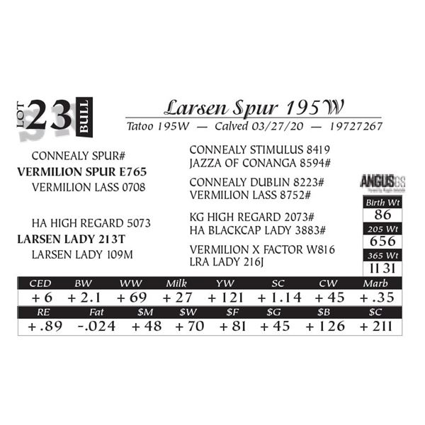 Larsen Spur 195W