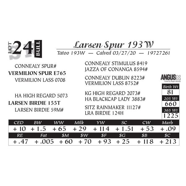 Larsen Spur 193W