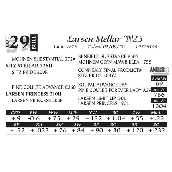 Larsen Stellar W25