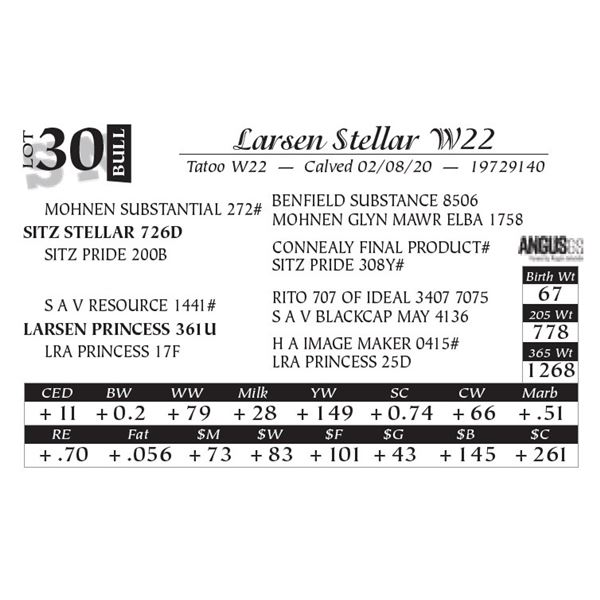 Larsen Stellar W22